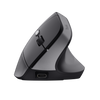 Rato TRUST TM-270 ergonómico sem fios