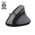 Rato TRUST TM-270 ergonómico sem fios
