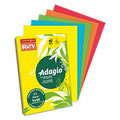 Papel de Fotocópia Adagio A4 80 g/m2 Cores Intensas 5 x 40 Folhas